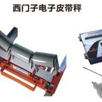 西门子皮带秤MSI型