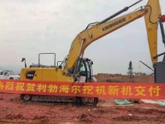热烈祝贺重庆客户第八台利勃海尔挖掘机交付！