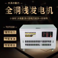 实验室30KW汽油发电机