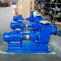 300ZW250-30P 大流量耐酸碱污水自吸泵