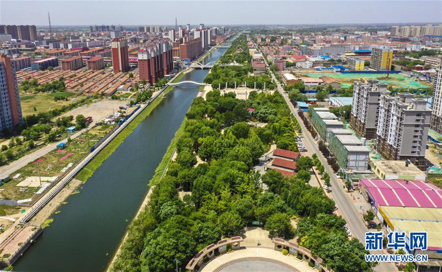(环境)(2)河北大城:绿树成荫翠满城
