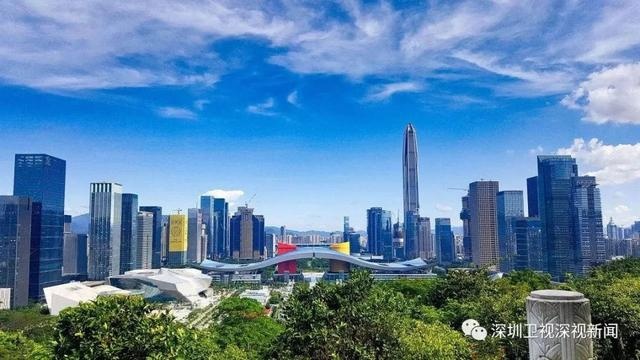 全国首例!深圳市财政局作出政府采购行政裁决决定书