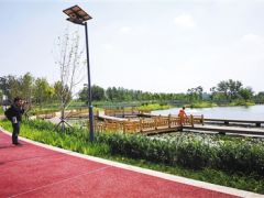北京市大兴区安南湿地环保主题公园十一开园