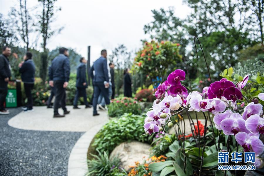(图文互动)(5)以自然之道,养万物之生——第四届中国绿化博览会亮点扫描