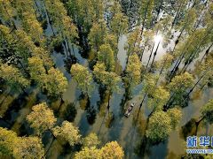 武汉新洲：涨渡湖湿地保护区挂牌生态环境司法修复基地示范点