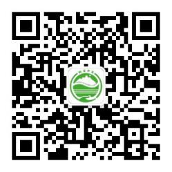 图片 20