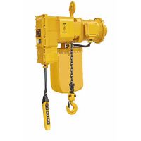 天津起重机-各种电动葫芦